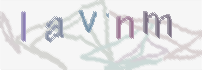 CAPTCHA-Bild zum Spam-Schutz 