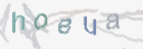 CAPTCHA-Bild zum Spam-Schutz 