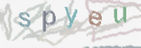 CAPTCHA-Bild zum Spam-Schutz 