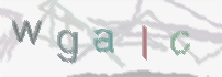 CAPTCHA-Bild zum Spam-Schutz 