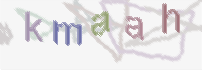 CAPTCHA image for SPAM prevention 