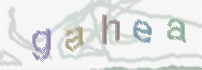 CAPTCHA image for SPAM prevention 