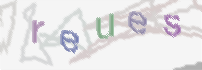 CAPTCHA image for SPAM prevention 