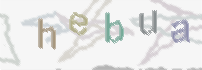 CAPTCHA-Bild zum Spam-Schutz 