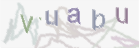 CAPTCHA-Bild zum Spam-Schutz 