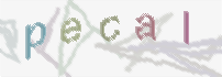 CAPTCHA-Bild zum Spam-Schutz 