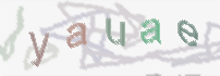 CAPTCHA-Bild zum Spam-Schutz 