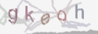 CAPTCHA-Bild zum Spam-Schutz 