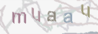 CAPTCHA-Bild zum Spam-Schutz 